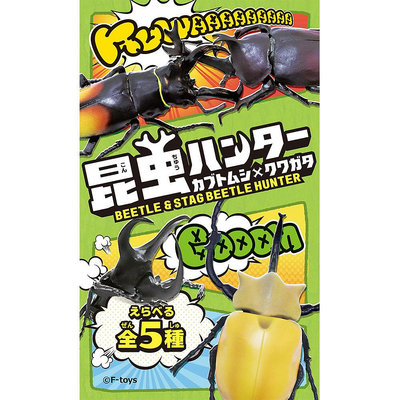 全套5款 昆蟲獵人 甲蟲 x 鍬形蟲 盒玩 擺飾 昆蟲模型 昆蟲之王 F-toys 日本正版【607505】