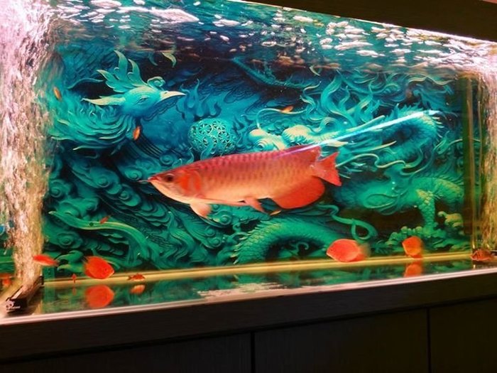 3d 客制化魚缸背景圖水族造景海水缸龍魚魟魚