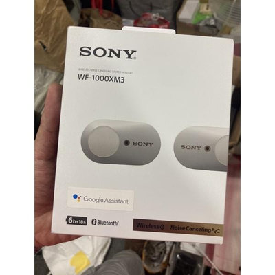 Sony台灣蘋果公司貨 wf 1000xm3