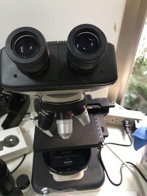 浩宇光學 Nikon YS-2 相位差生物顯微鏡