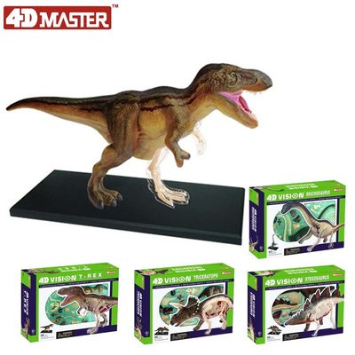 4D MASTER拼裝玩具擺件恐龍霸王龍三角龍蜿龍劍龍器官解剖模型