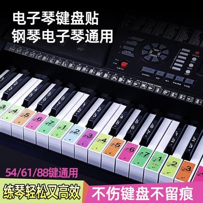 電子琴鍵盤貼彩色音位簡譜五線譜貼紙通用電鋼手卷鋼琴音符音標貼小家家樂