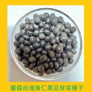 台灣PIH嚴選-黑豆芽菜專用種子 150ml-防潮袋-種子花苗