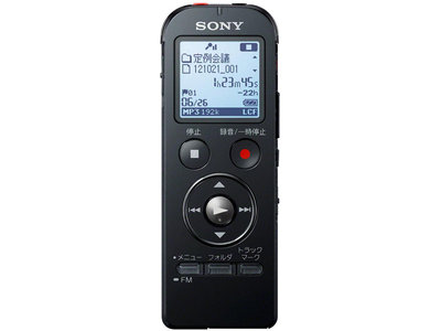 SONY 數位錄音筆 4GB( SONY索尼ICDUX533F)