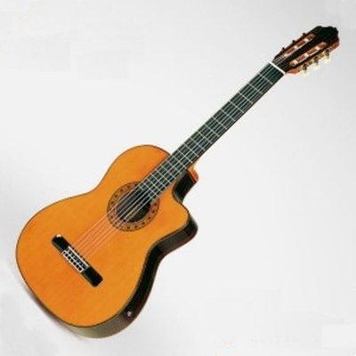 Esteve ELEC 全單板西班牙手工可插電古典吉他 西班牙製