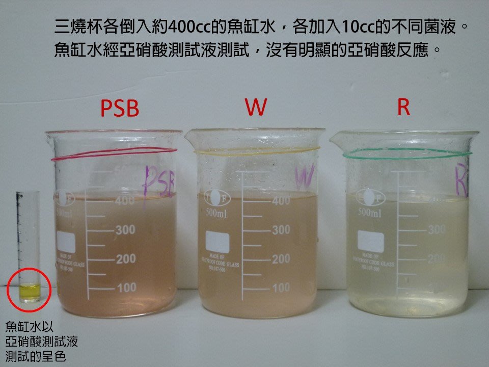 PSBLab] 水族光合菌6公升, PSB光合成菌, 光合紅菌, 光合細菌, 幫助硝化