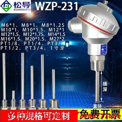 Pt100防水測溫探頭熱電阻WZP-231一體化溫度變送器傳感器K熱電偶