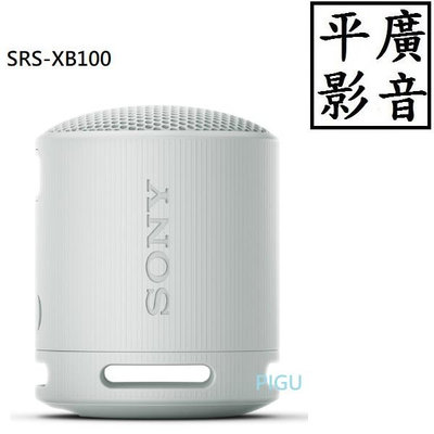 平廣 送袋 SONY SRS-XB100 灰色 藍芽喇叭 台灣公司貨保1年 另售耳機 JBL GO2 3