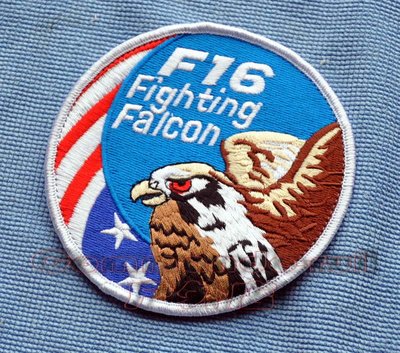 收藏品 美國USAF F-16戰隼/Fighting Falcon戰斗機 臂章/徽章