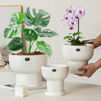 蘭專用植物花盆創意啞白高腳大口徑豎紋陶瓷盆家用桌面盆帶托--三姨小屋