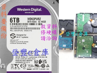 【登豐e倉庫】 R14 WD63PURZ-85B4VYO 6TB SATA 救資料 硬碟燒痕 公司資料 也修電視