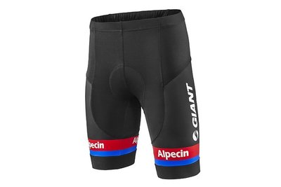 全新公司貨 GIANT-Alpecin 職業車隊複刻版短車褲 自行車短褲 UPF30+防曬保護