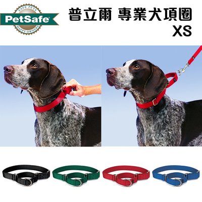 美國 petsafe 普立爾 Premier 專業犬頸圈（XS）訓練可.非P字鍊.防掙脫~項圈