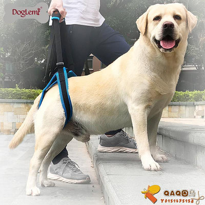 doglemi寵物狗狗后腿輔助帶后肢無力受傷老齡輔助背帶.