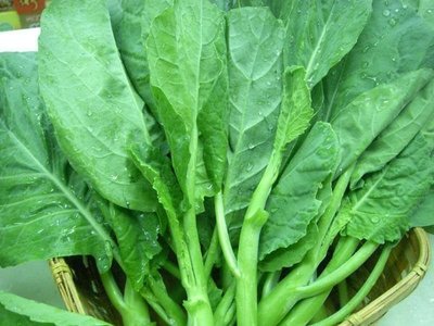 【媽咪蔬果園】、寬葉芥藍菜　種子