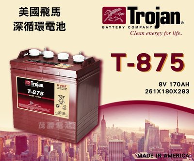 【茂勝電池】美國飛馬 Trojan T-875 深循環電池 8V170AH 水力發電 露營車 適用 【需預訂】可自取