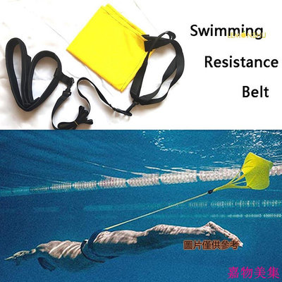 檸檬樹戶外 游泳游泳力量訓練用阻力傘水兜健身器配件
