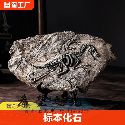 化石仿真恐龍化石模型工藝品標本擺設霸王龍擺件客廳裝飾品桌面玄關