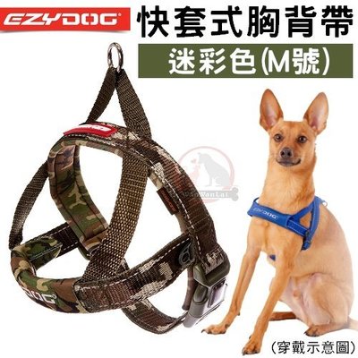 汪旺來【歡迎自取】EZYDOG快套式胸背帶M號(迷彩)HQMC中小型犬/穿戴速度最快/反光設計/外出舒適胸背/需另購牽繩