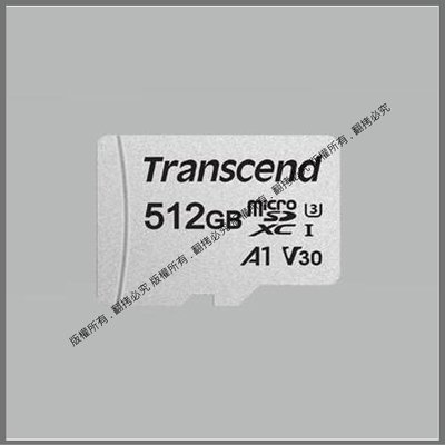 星視野 昇 創見 Transcend 256G 512G 300S A1 V30 microSD U3 記憶卡