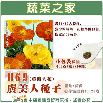 【蔬菜之家滿額免運】H69.虞美人種子0.6克(約3800顆)(重瓣大花)  花卉 花類種子
