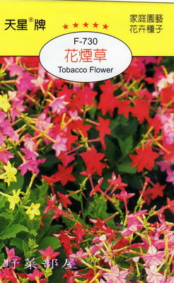 【萌田種子~】Y58 花煙草Tobacco Flower~天星牌原包裝種子~每包17元~