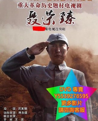 DVD 專賣 聶榮臻 大陸劇 2013年