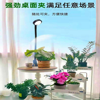 植物補光生長燈 室內家用夾子全光譜LED多肉月季仿太陽光合作用燈