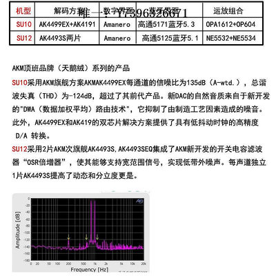 詩佳影音偉良SU10 HIEND級AK4499EX AK4493S DAC解碼器hifi發燒5.3影音設備