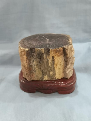 木化玉，木化石，木紋清晰可見，帶個木頭底座，實物拍圖，高6.9366