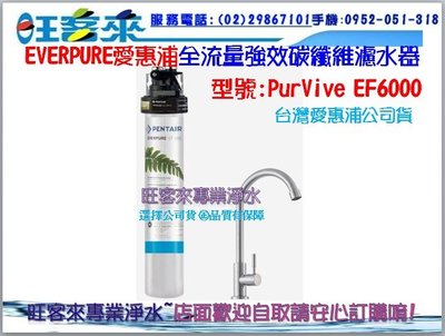 EVERPURE愛惠浦全流量強效碳纖維淨水器設備 PURVIVE-EF6000 (公司貨)(含運)(附發票)