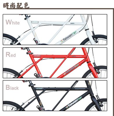 【繪繪】Taiwan TOP 20吋21段SHIMANO變速 W型小徑車 通勤代步 好騎 小徑車 -B款 台灣製造