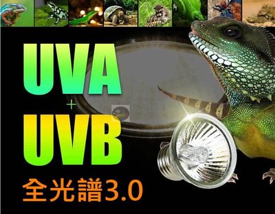 【樂魚寶】迷你全光譜爬蟲燈泡UVA+UVB3.0曬背燈泡 兩棲 陸龜 保暖 聚熱燈 25W 50W 75W