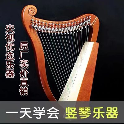 豎琴箜篌19弦23弦小豎琴簡單易學便攜帶小眾里拉樂器天使琴萊雅琴