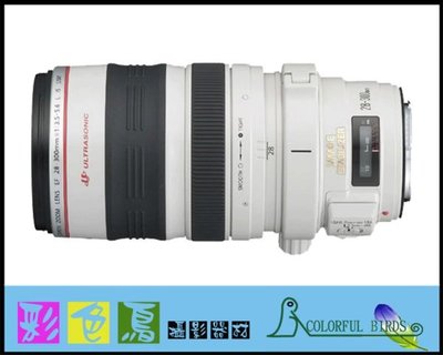 彩色鳥 (租 EOS R5/R6)租 Canon ef 28-300mm f3.5-5.6L IS USM 5D4