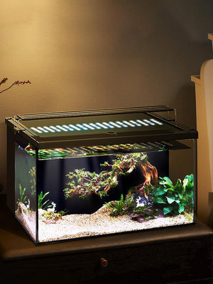 超白背濾魚缸小型客廳生態養魚桌面缸免換水懶人造景自循環水草缸--思晴