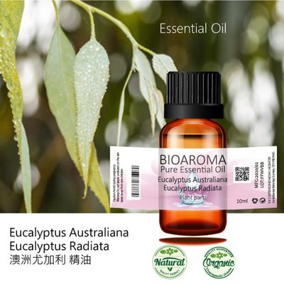 【芳香療網】Eucalyptus Australiana  澳洲尤加利精油 100ml