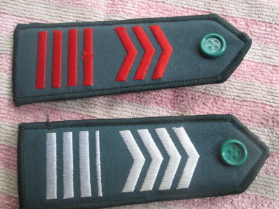 早期:陸軍官校學生實習幹部肩章(5) 不同色