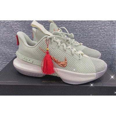 爆款Nike Ambassador 13 詹姆斯 使節13 紫禁重器 休閒鞋 籃球鞋 CQ9329-300 現貨