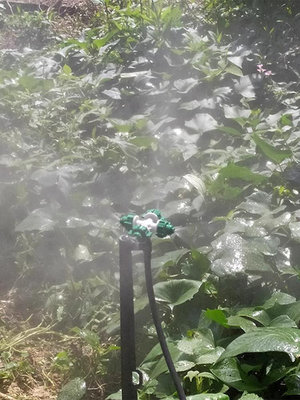 自動澆花器4/7管霧化噴頭花盆地插桿澆水噴霧降溫360度灑水噴頭多多雜貨鋪