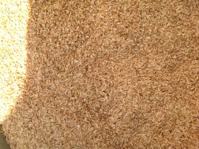 【n0900台灣健立最便宜】2020 稻殼(粗糠)  粗糠 稻殼每包尺寸約(40/16cm)約1Kg