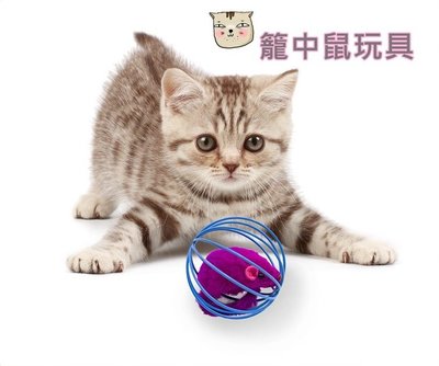 【艾米】籠中鼠玩具 寵物玩具/貓咪玩具/ 貓咪玩具/逼真老鼠/貓玩具/寵物用品/貓老鼠/貓用品/貓咪用品/寵物毛絨