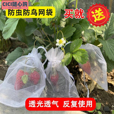草莓藍莓水果網套袋防蟲防鳥吃套袋紗網袋葡萄無花果透氣瓜果套袋~CICI隨心購