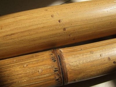 台灣天然竹 帶皮竹棍145公分直徑約2.5公分可當白蠟桿白臘桿少林棍 齊眉棍 健身棍 防身木棍太極棍 猴棍天然竹鞭