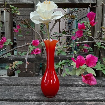 【MarsC】早期老玻璃花瓶.紅色蘭花口細長頸花瓶（25091765）