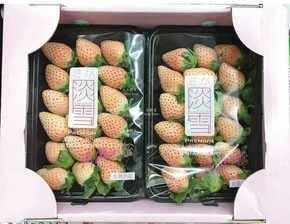 日本超人氣淡雪草莓種子20粒100元