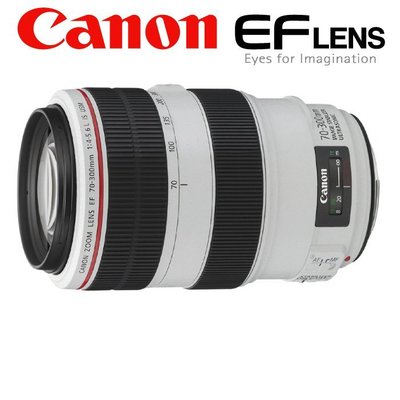 【高雄四海】Canon EF 70-300mm F4-5.6 L IS USM 全新平輸．一年保固．胖白．望遠防手震L鏡