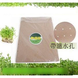 【種植紙-500張】芽苗菜 小麥草 種植紙 無土種植基質 帶濾水孔 最新技術，500張/包-5101004