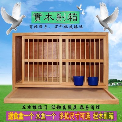 【現貨】鴿具/鴿籠/鴿子配對籠實木巢箱鴿子養殖籠信鴿種鴿配對籠鴿子用品
