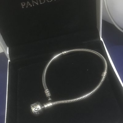 Pandora潘朵拉正品手環-蛇鍊17
